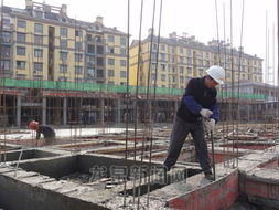 保障性住房建设 城市安居梦的工地交响